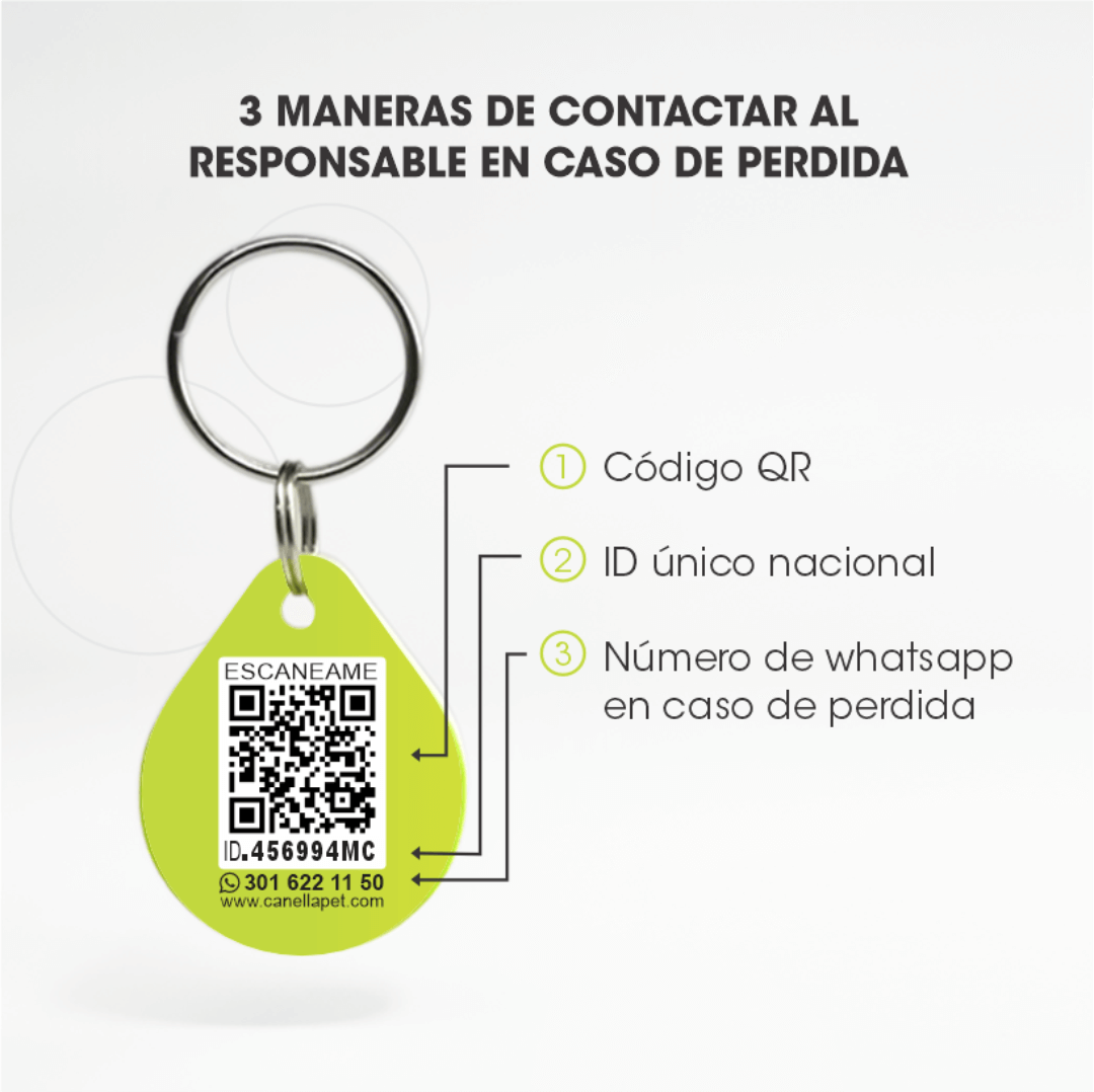Placa QR 1