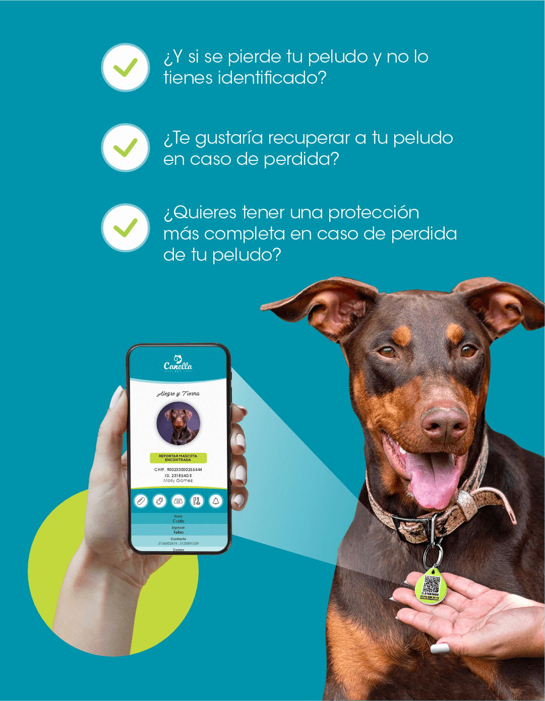 App Canella Pet y Perro