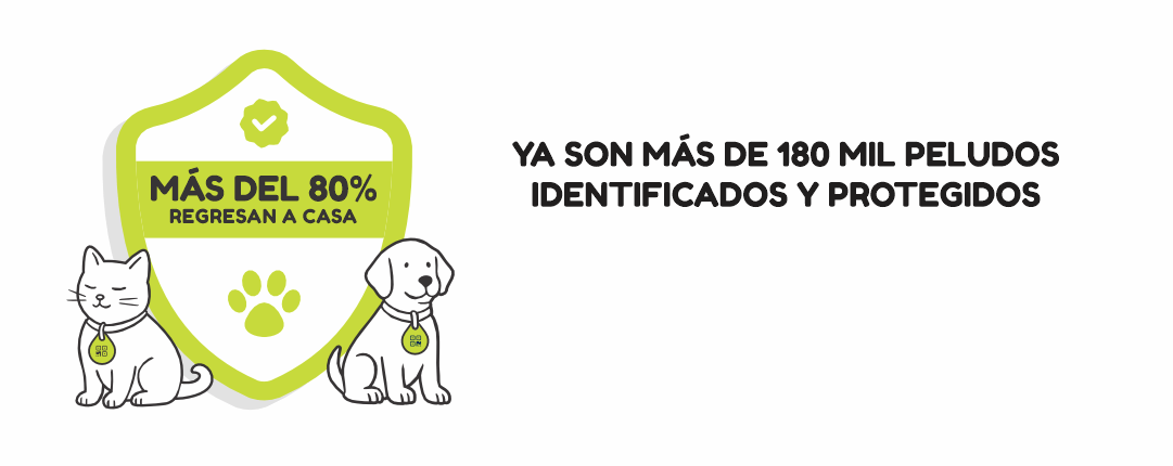 Más del 80% regresan a casa
