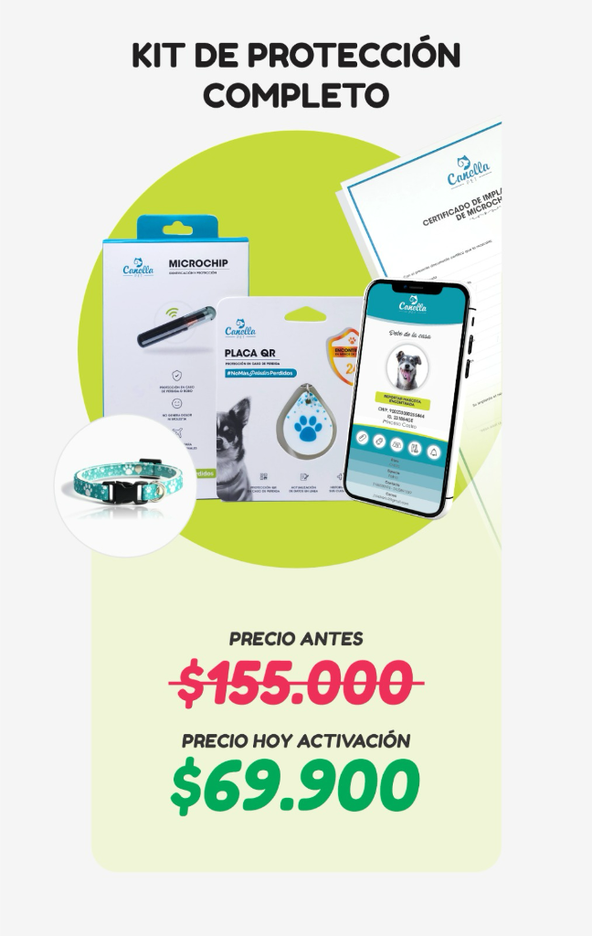 Kit de Protección Completo